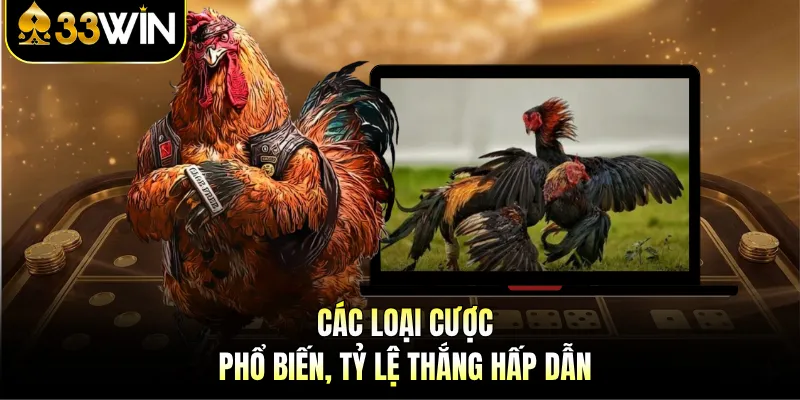 Các loại cược phổ biến, tỷ lệ thắng hấp dẫn