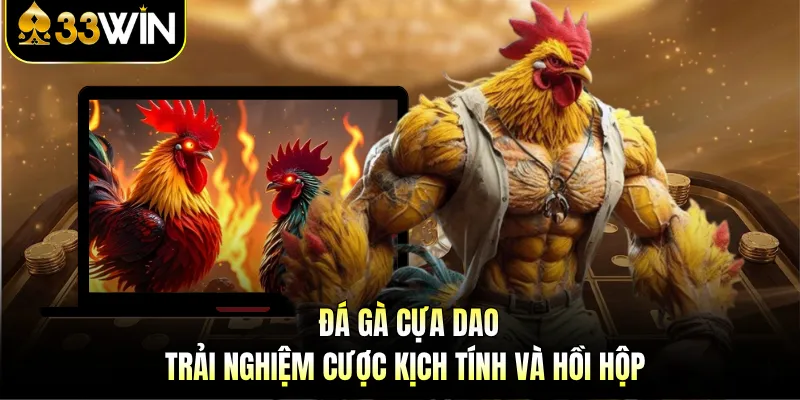 Đá Gà Cựa Dao - Trải Nghiệm Cược Kịch Tính Và Hồi Hộp 1 Đá Gà Cựa Dao - Trải Nghiệm Cược Kịch Tính Và Hồi Hộp