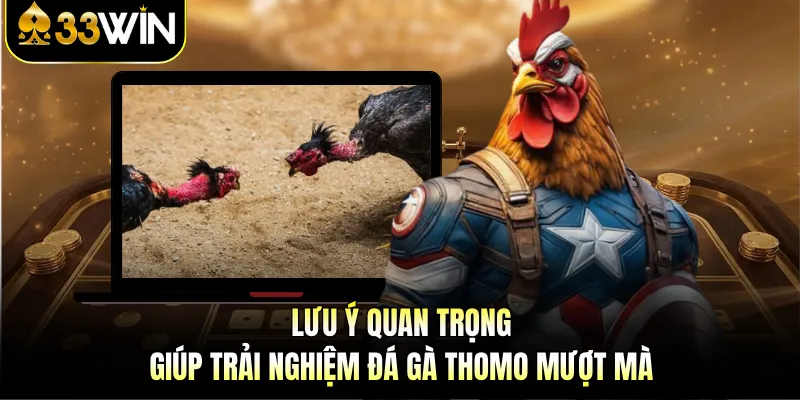 Lưu ý quan trọng giúp trải nghiệm đá gà Thomo mượt mà