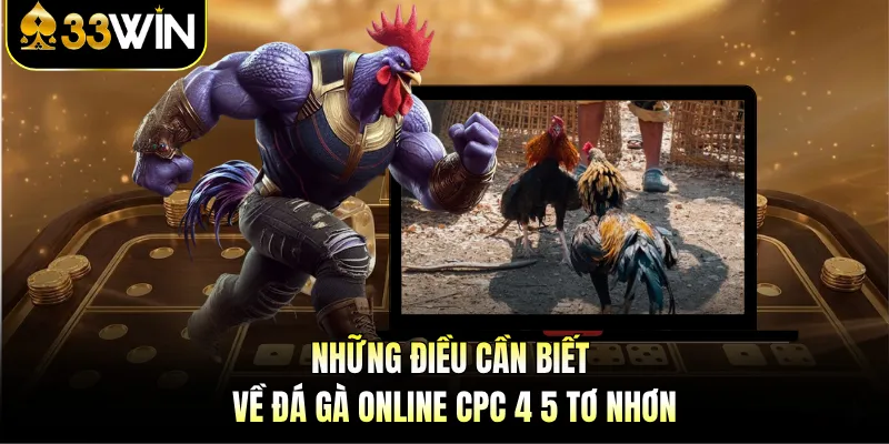 Đá Gà CPC 4 5 Tơ Nhơn - Nghẹt Thở Từng Giây Cùng 33WIN 2 Những điều cần biết về đá gà online CPC 4 5 Tơ Nhơn