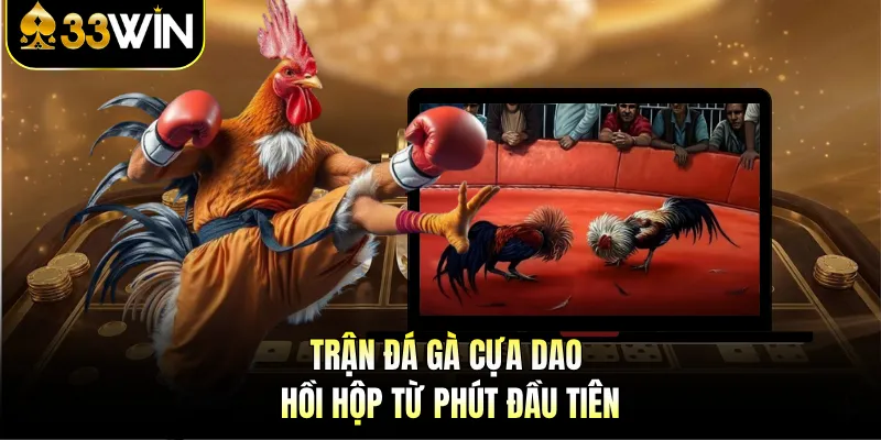 Đá Gà Cựa Dao - Trải Nghiệm Cược Kịch Tính Và Hồi Hộp 2 Trận đá gà cựa dao hồi hộp từ phút đầu tiên
